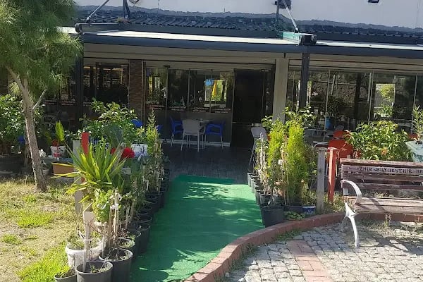 Lomotif Düğün Salonu - Resim 7