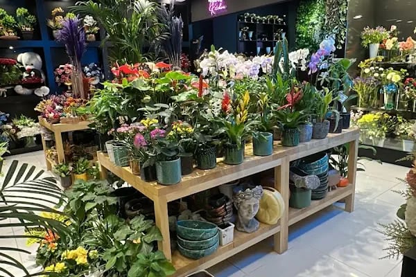 Balıkesir Çiçek Galerisi - Resim 4
