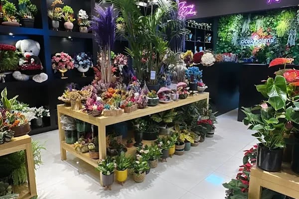 Balıkesir Çiçek Galerisi - Resim 7
