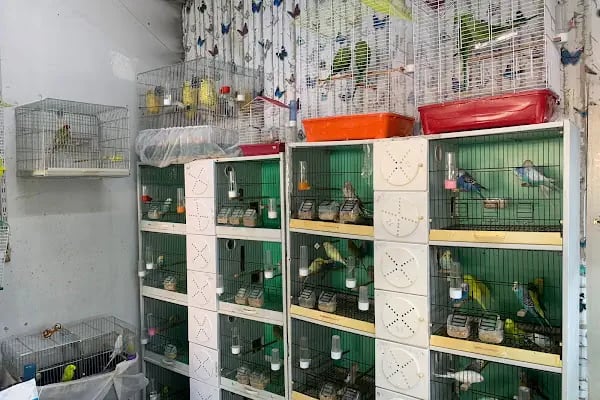 YabaDabaDuu Petshop - Resim 6