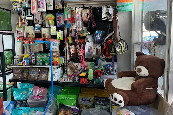 YabaDabaDuu Petshop - Resim 3