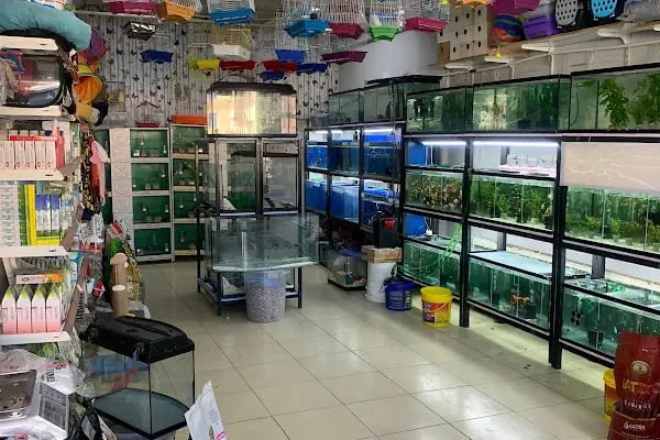YabaDabaDuu Petshop - Resim 4