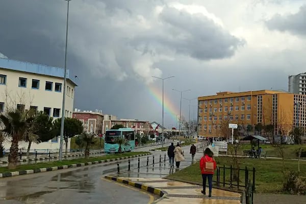 Doçent. Dr. M. Kürşat Evrenos Muayenehanesi - Resim 12