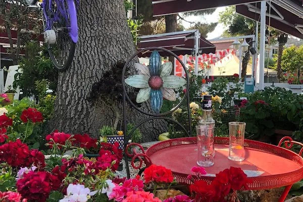Zehra Heybeliada Restaurant - Resim 19