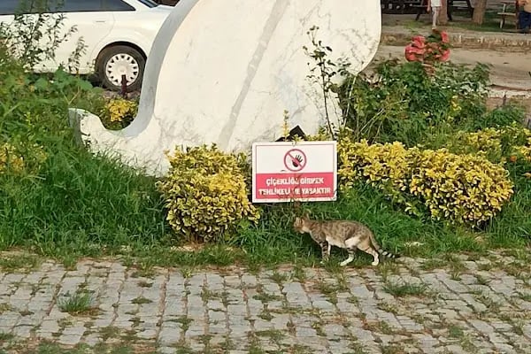 Bergama Belediyesi Güzellik Ilıcası Tesisi - Resim 13