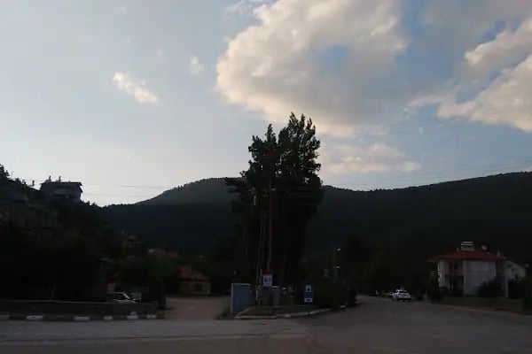 Teco-güleç Petrol - Resim 3
