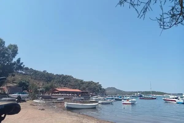 Ayvalık Adaları Tabiat Parkı - Resim 15