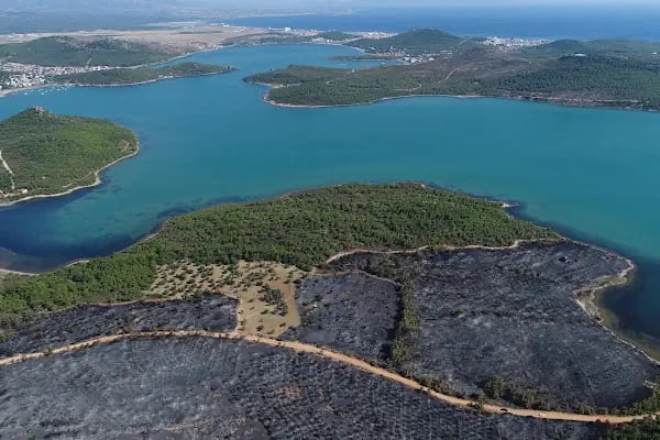 Ayvalık Adaları Tabiat Parkı - Resim 2