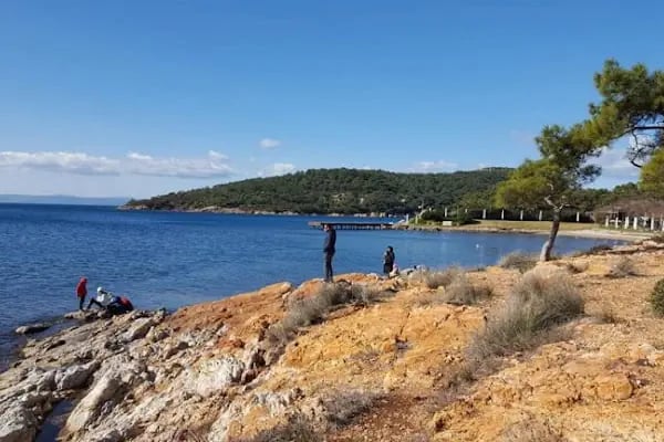 Ayvalık Adaları Tabiat Parkı - Resim 14