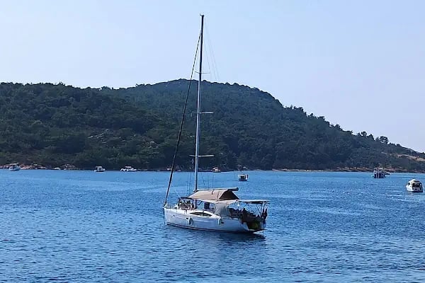 Ayvalık Adaları Tabiat Parkı - Resim 10