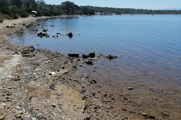 Ayvalık Adaları Tabiat Parkı - Resim 17