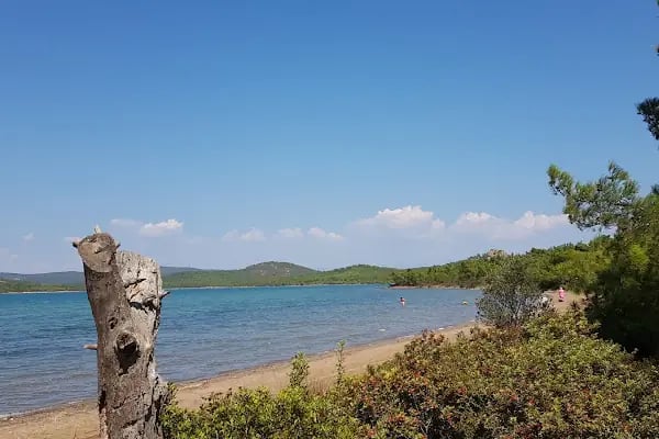 Ayvalık Adaları Tabiat Parkı - Resim 16