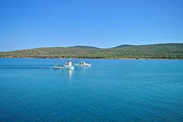 Ayvalık Adaları Tabiat Parkı - Resim 5