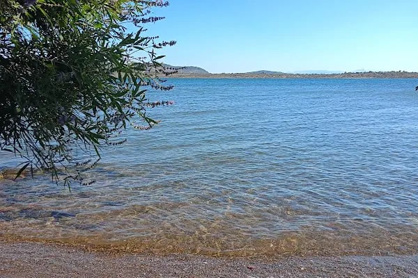 Ayvalık Adaları Tabiat Parkı - Resim 19