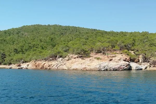 Ayvalık Adaları Tabiat Parkı - Resim 6