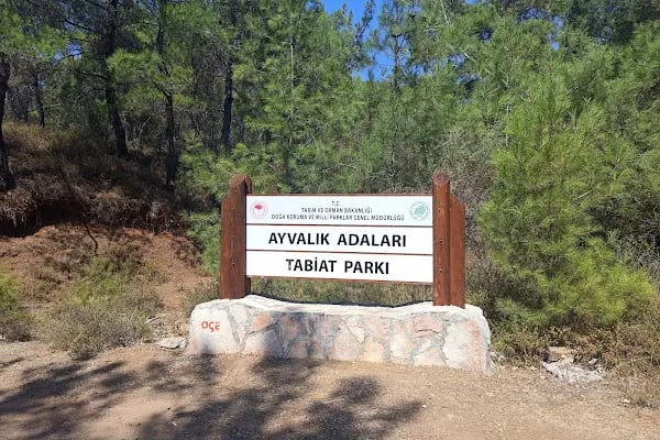 Ayvalık Adaları Tabiat Parkı - Resim 20