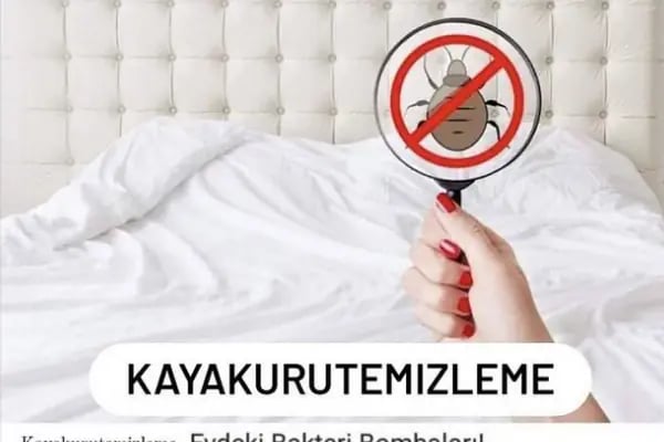 Kaya KuruTemizleme ve Halı Yıkama - Resim 5