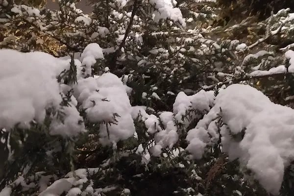 Altındağ Belediyesi Yıldıztepe kütüphanesi - Resim 5
