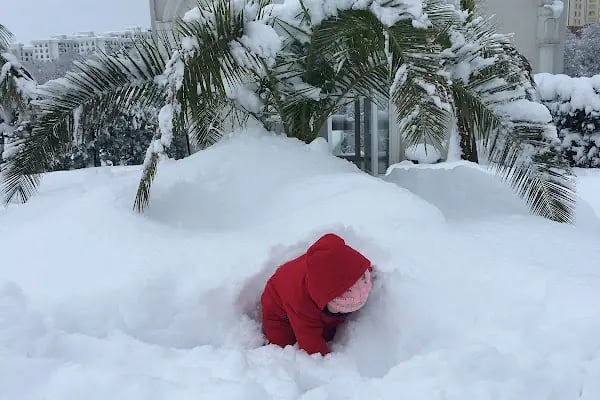 Orta Bahçe Profesyonel Site Yönetim Hizmetleri - Resim 5