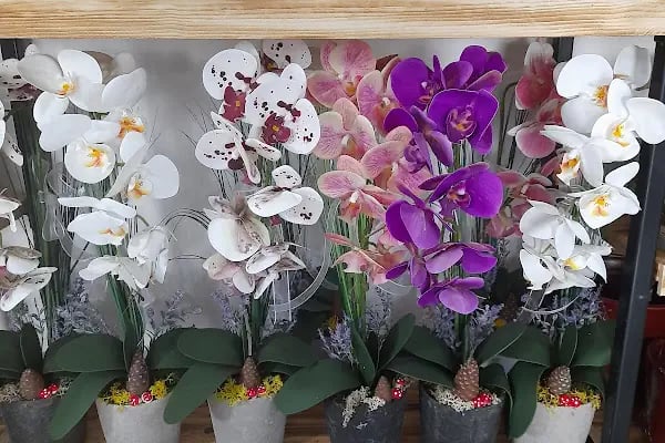 Nizip çiçekçi Lusudem flowers - Resim 6