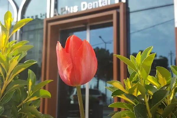 A+ Ağız ve Diş Sağlığı Polikliniği - Resim 1