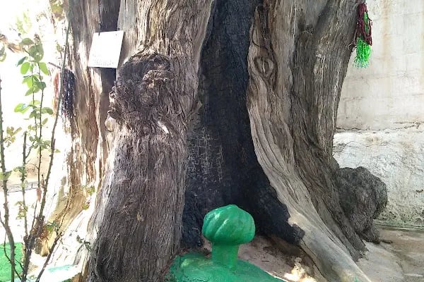 Üçler Dede türbesi - Resim 1