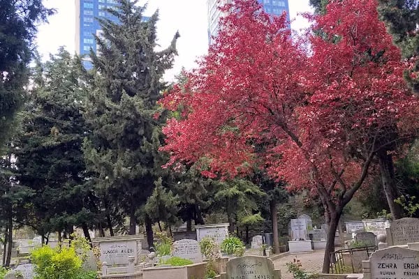 Kazlıçeşme Mezarlığı - Resim 11