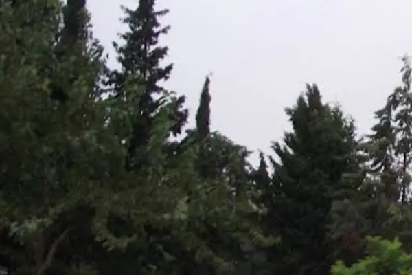 Kazlıçeşme Mezarlığı - Resim 2