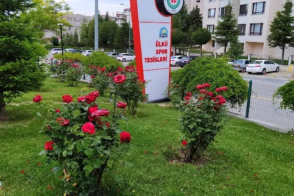 Ülkü Spor Sahası - Resim 3