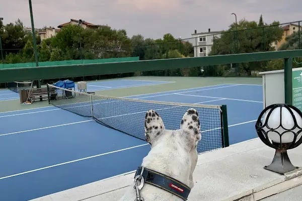Bornova ES Tenis Kulübü - Resim 12