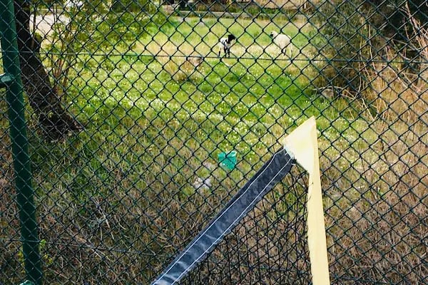 Bornova ES Tenis Kulübü - Resim 9