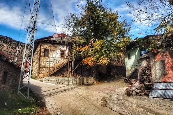 Büyüksofulu - Resim 6