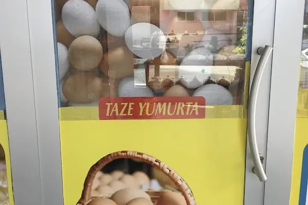 GÜZELYALI Ceylan Yufka - Resim 4
