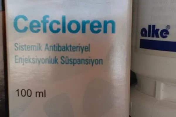 Genç Veteriner Klingi Uğraklı Mah. Akçakale/Şanlıurfa - Resim 12