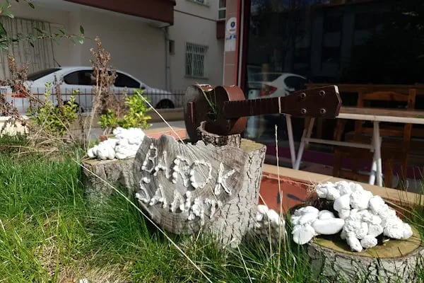 Barok Sanat Merkezi - Resim 17