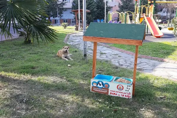 USTA HAFRİYAT &amp; KEPÇE SAMSUN - Resim 18