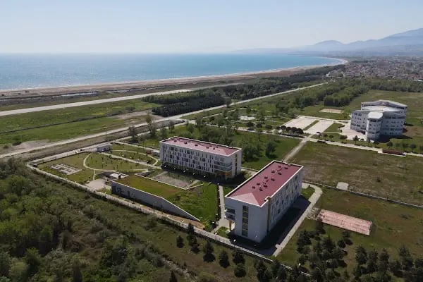 USTA HAFRİYAT &amp; KEPÇE SAMSUN - Resim 9