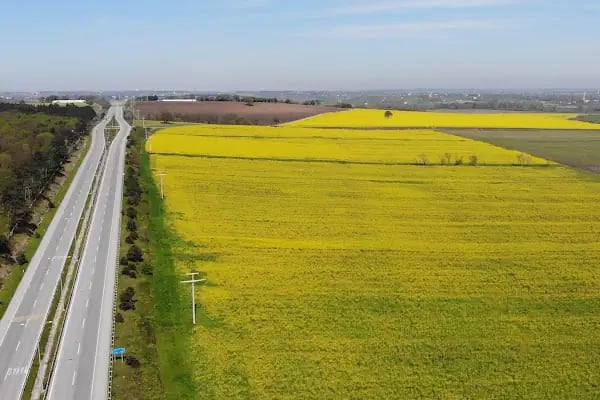 USTA HAFRİYAT &amp; KEPÇE SAMSUN - Resim 12