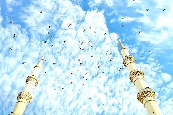 Hacıveyiszade Camii - Resim 14