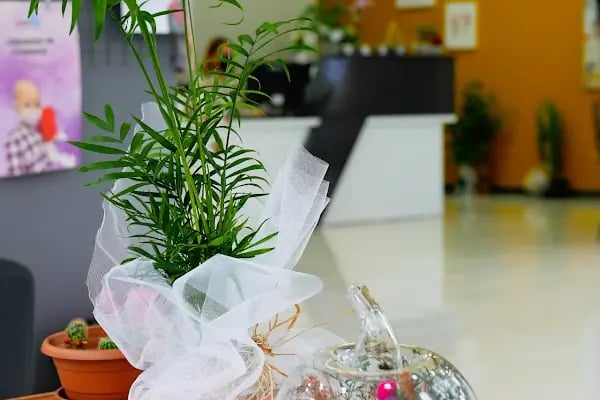 Dentalpark Adana - Resim 14