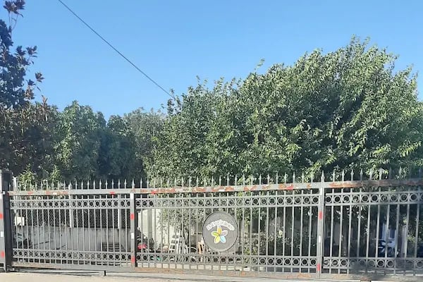 Bayındır Çiçekçiler Kooperatifi - Resim 14