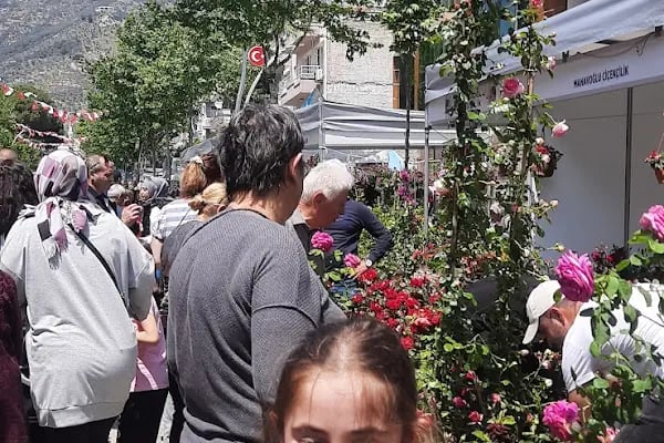 Bayındır Çiçekçiler Kooperatifi - Resim 15