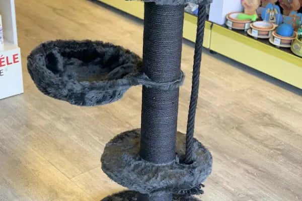 KARACA PETSHOP-AKVARYUM 2 23 NİSAN - Resim 13