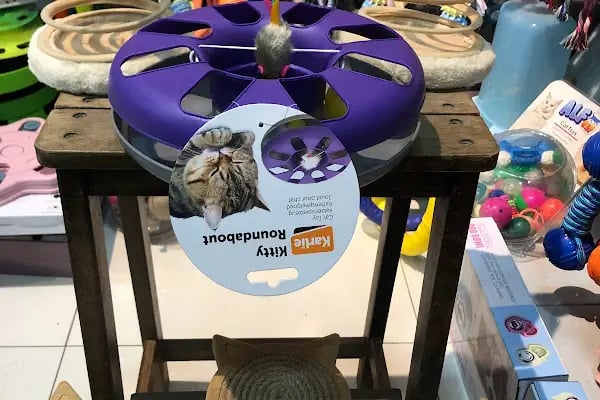 KARACA PETSHOP-AKVARYUM 2 23 NİSAN - Resim 7