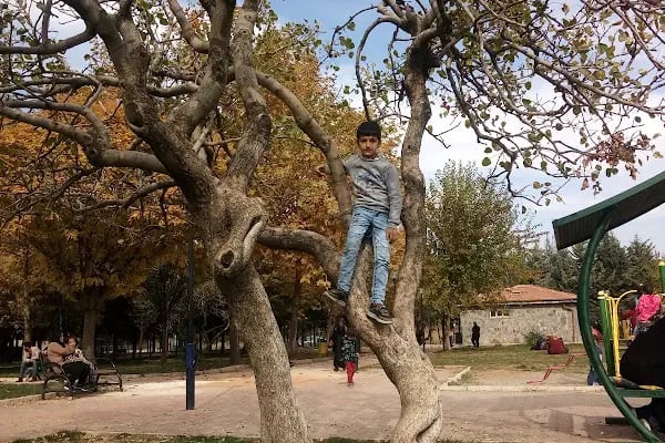 Şahinbey Araştırma ve Uygulama Hastanesi - Resim 6