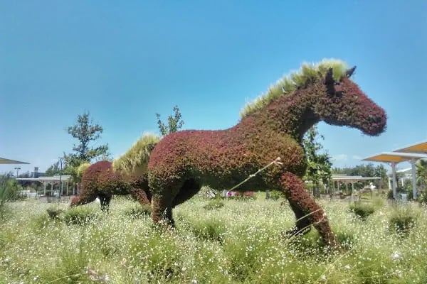 EXPO Antalya Sergi Alanı - Resim 10