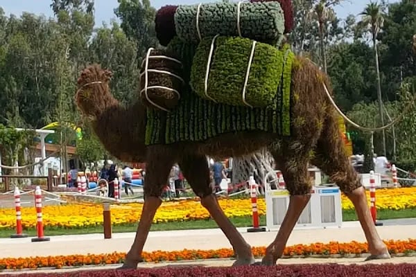 EXPO Antalya Sergi Alanı - Resim 7
