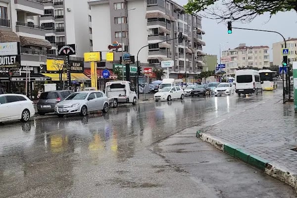 Gemlik Manşet Gazetesi - Resim 13