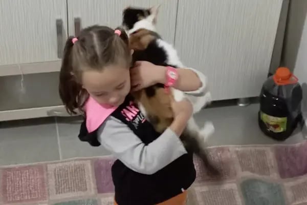 CanBu Veteriner Kliniği - Resim 11