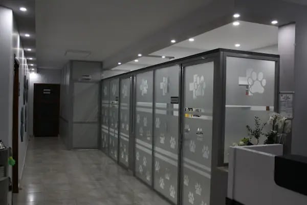 CanBu Veteriner Kliniği - Resim 19